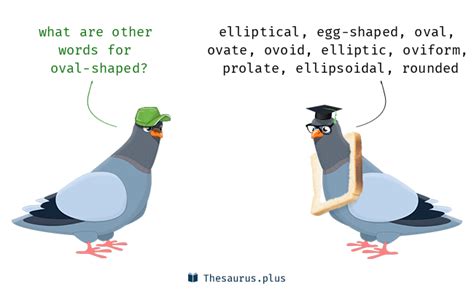 egg shaped thesaurus